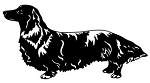 Dachshund Decal Sticker