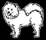 Samoyed Decal Sticker