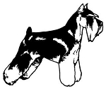 Schnauzer Decal Sticker