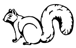 Squirrel Decal Sticker