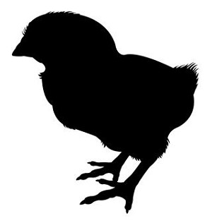 Baby Chick Silhouette Decal Sticker 