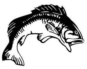 Bass v1 Decal Sticker 