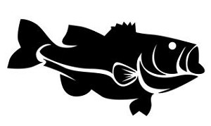 Bass v4 Decal Sticker 