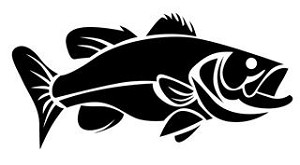Bass v6 Decal Sticker 