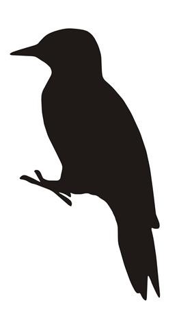 Woodpecker Silhouette v2 Decal Sticker 