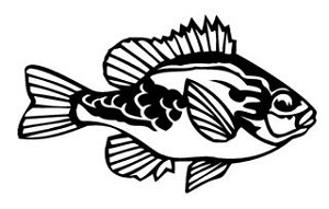 Blue Gill v2 Decal Sticker 