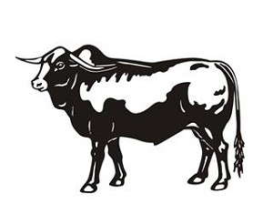 Bull v2 Decal Sticker 