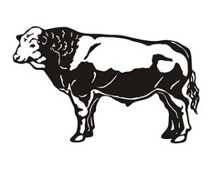 Bull v4 Decal Sticker 