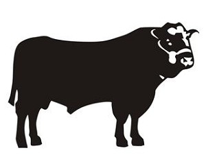 Bull v5 Decal Sticker 