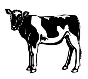 Calf v2 Decal Sticker 