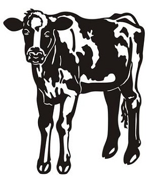Calf v3 Decal Sticker 