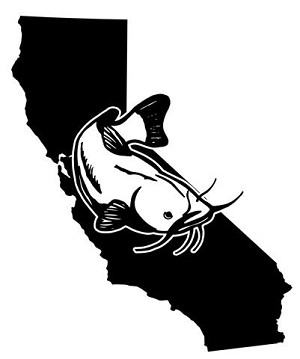 California Catfish Decal Sticker 