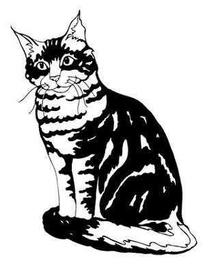 Cat v10 Decal Sticker 
