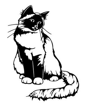 Cat v12 Decal Sticker 