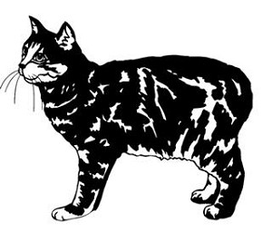 Cat v16 Decal Sticker 
