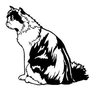 Cat v18 Decal Sticker 