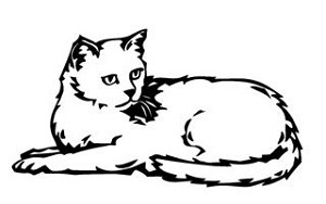 Cat v19 Decal Sticker 