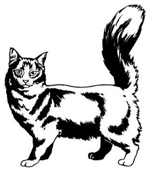 Cat v3 Decal Sticker 