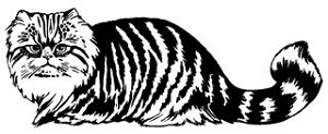 Cat v5 Decal Sticker 