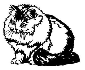 Cat v6 Decal Sticker 