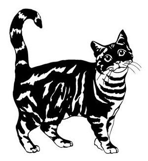 Cat v7 Decal Sticker 