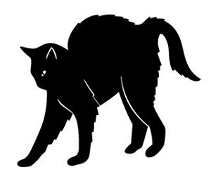 Cat v9 Decal Sticker 