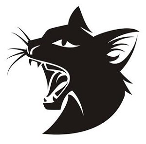 Cat Head v3 Decal Sticker 