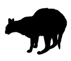 Cat Silhouette v11 Decal Sticker 