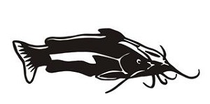Catfish v6 Decal Sticker 