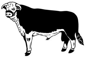 Cattle v1 Decal Sticker 