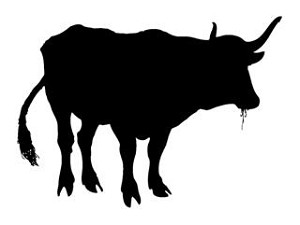 Cattle Silhouette v1 Decal Sticker 
