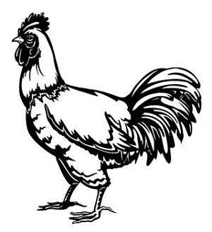 Chicken v1 Decal Sticker 