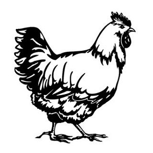 Chicken v2 Decal Sticker 