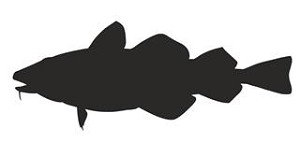 Cod Silhouette Decal Sticker 