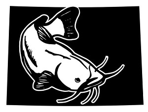 Colorado Catfish Decal Sticker 