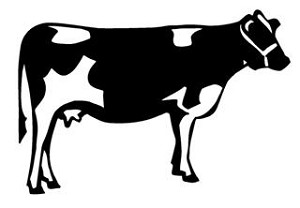 Cow v1 Decal Sticker 