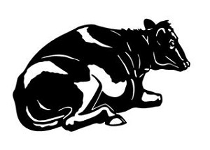 Cow v3 Decal Sticker 