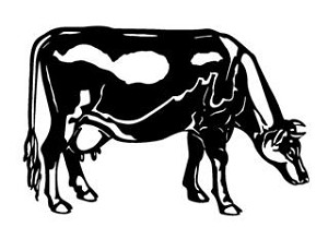 Cow v4 Decal Sticker 