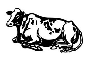 Cow v6 Decal Sticker 