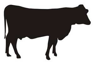 Cow Silhouette v2 Decal Sticker 