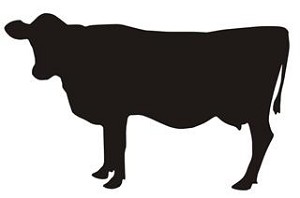 Cow Silhouette v3 Decal Sticker 