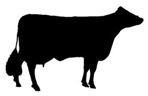 Cow Silhouette v4 Decal Sticker 