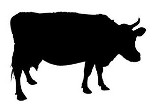 Cow Silhouette v6 Decal Sticker 