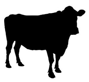 Cow Silhouette v7 Decal Sticker 
