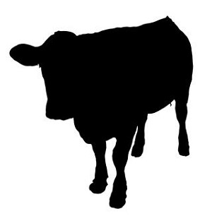 Cow Silhouette v8 Decal Sticker 