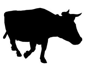Cow Silhouette v9 Decal Sticker 