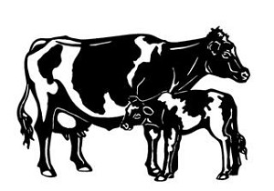 Cow and Calf v2 Decal Sticker 