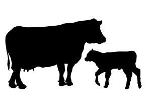 Cow and Calf Silhouette Decal Sticker 