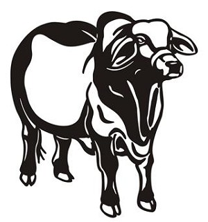 Cow v12 Decal Sticker 