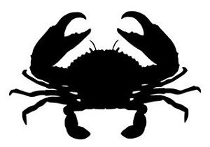 Crab v5 Decal Sticker 